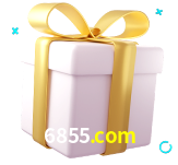 Receba seus bônus de boas-vindas no 6855.com